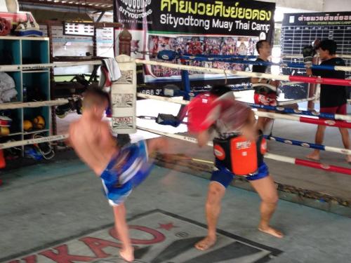 Brodie training at Sityodtong Thailand